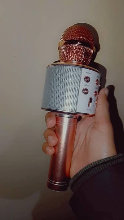 WS-858 wireless Bluetooth karaoke microphone.