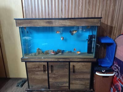 4 feet Aquarium complete setup for sale