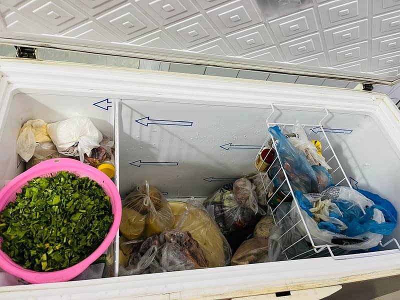 Waves deep-freezer 2