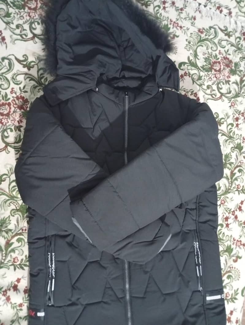 Winter Jacket 1