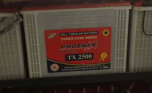 Phoenix TX 2500 -  tall tubular battery