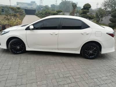 Altis 2021 total geniun