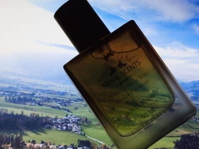 Royal Bloom - Inspired by office for men