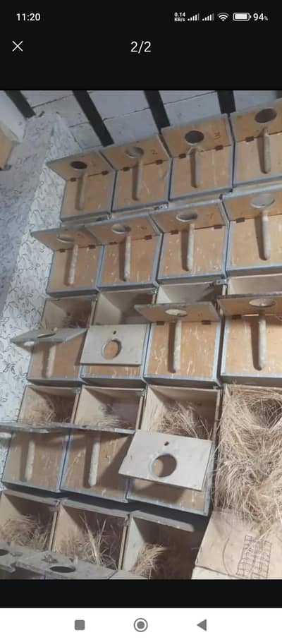 Breeding boxes