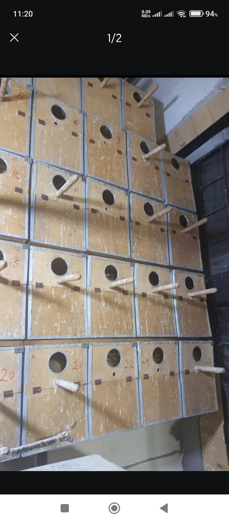 Breeding boxes 1