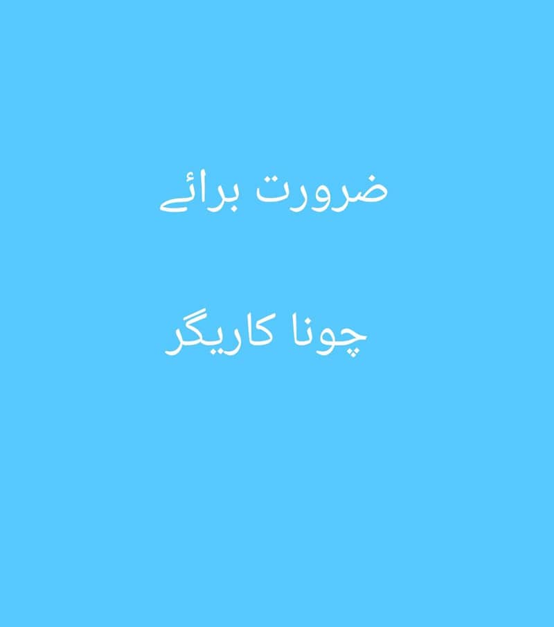 چونے کی بھٹی کے لئے کاریگر درکار ھے 0