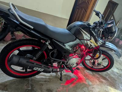 YBR 125g 2019