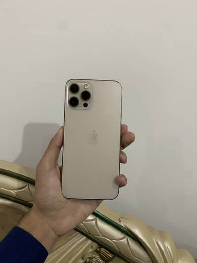 Iphone 12 pro max pta approved