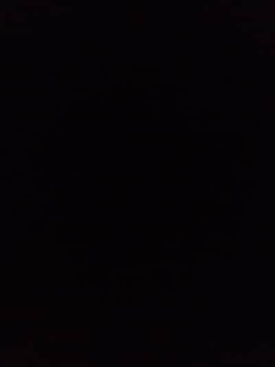 Executive Female Secretary