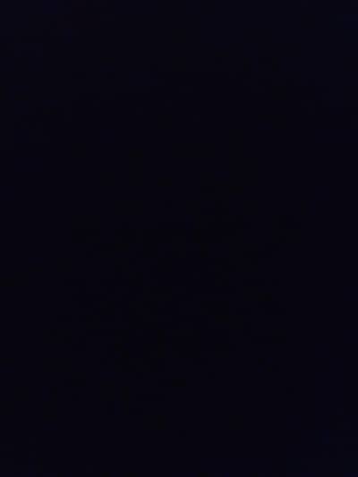 Executive Female Secretary