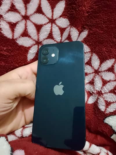 I phone 12