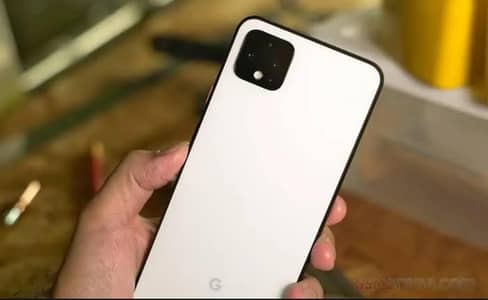 pixel 4xl hai