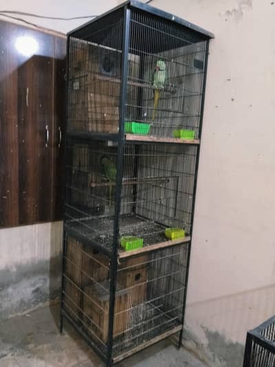 Special Cage for Raw  0321.7242445 call