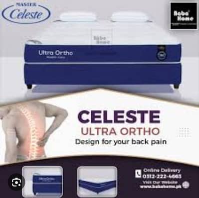 Master Celeste Ultra Ortho