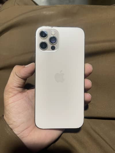 Serious buyers Conctact me