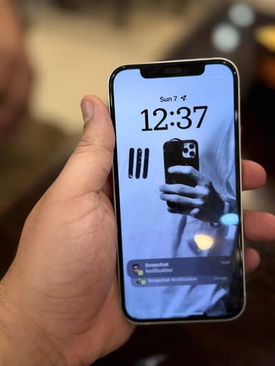 Apple iPhone 12 PTA Approved