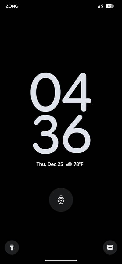 Bhai kisi k pass pixel 6pro ka panel hn to connect me