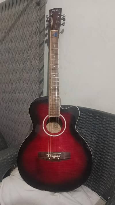 professional acoustic guitar