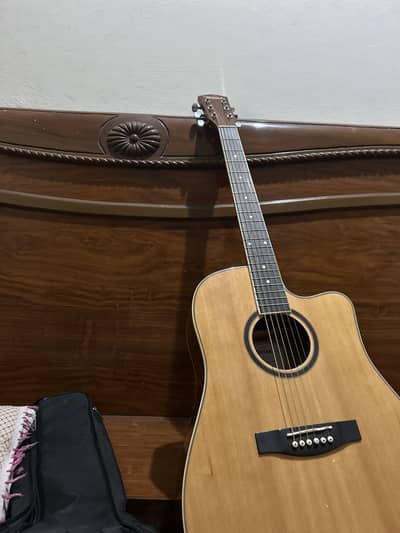 Beautiful acoustic guitar