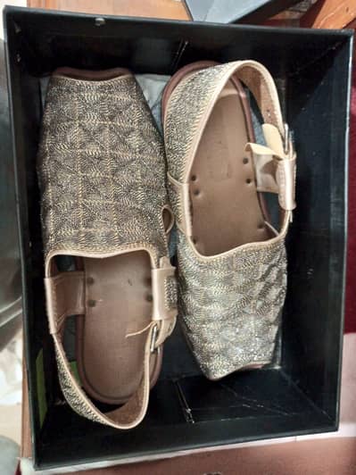 Groom Walima Chappal ( Peshawari Chappal – Almost like new one )
