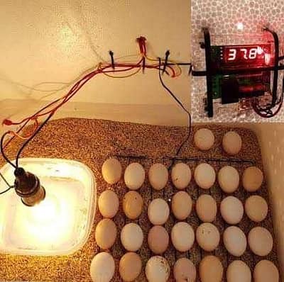 CUSTOM MADE INCUBATORS FOR SALE