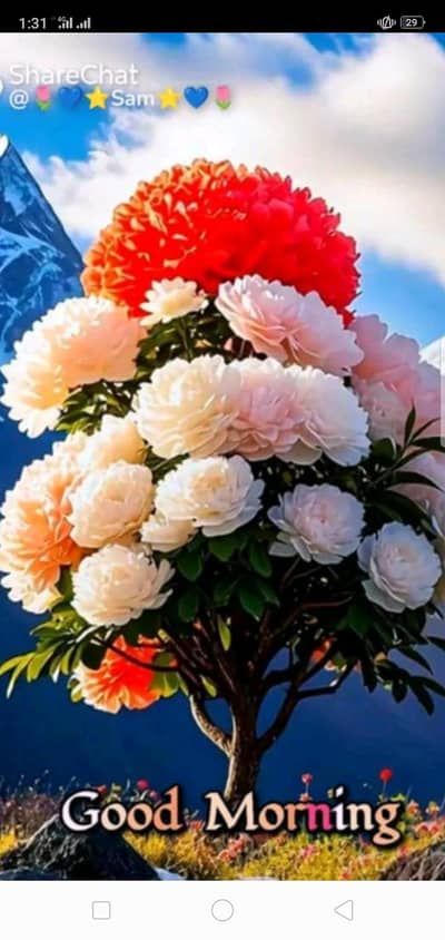 LED LIGHT YOUR Business only 1000 RS  and JOB