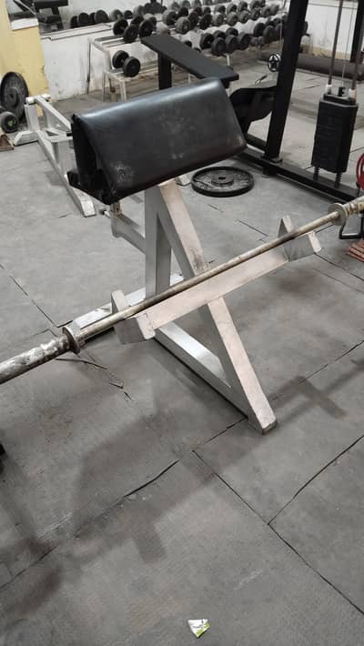 Curl Bench Bicep Machine