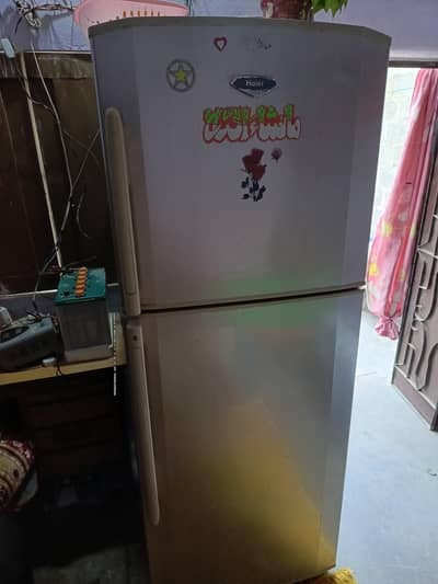 Hair Full Size Fridge