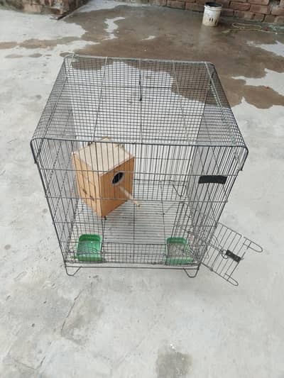 parrot  cage
