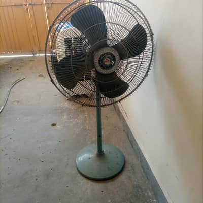 royal fan for sell
