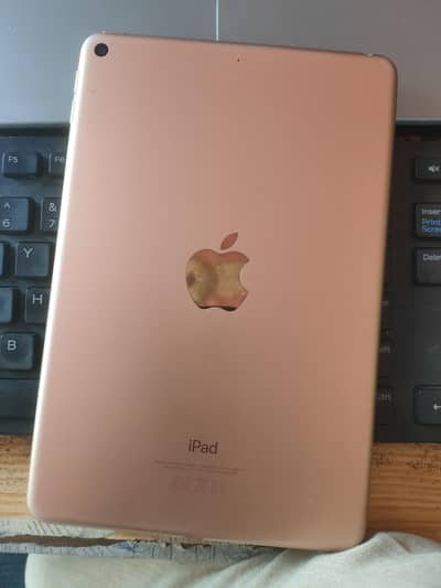 ipad mini 5 PUBG killer