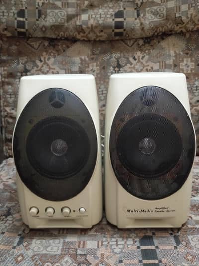 Multimedia Amplified Speaker System