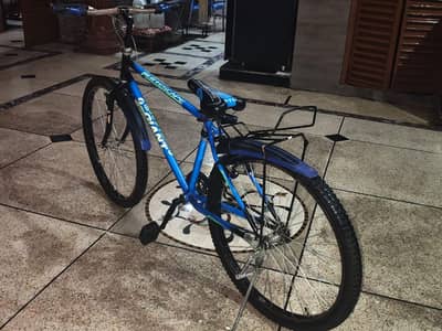 phonex bicycle
