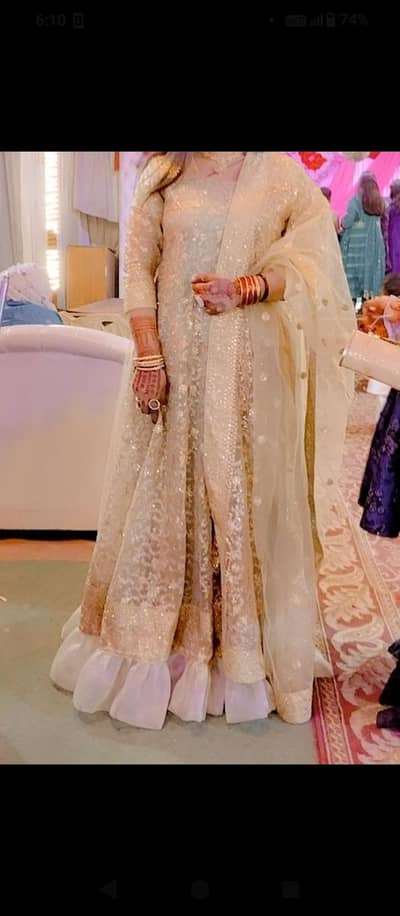 beautiful party wear dress pista colour