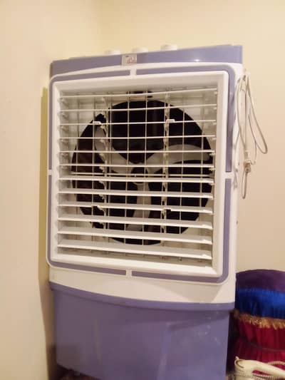 room color urgent sell