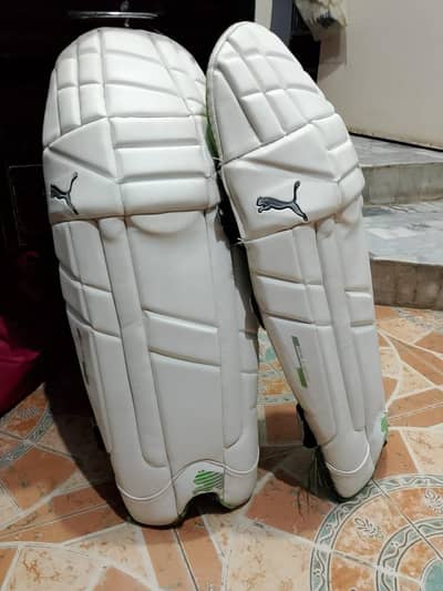 Puma original batting pads in very good condition