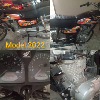 2021 model 22 model 15 model 13 model