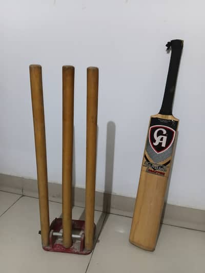Cricket Bat and Wicket