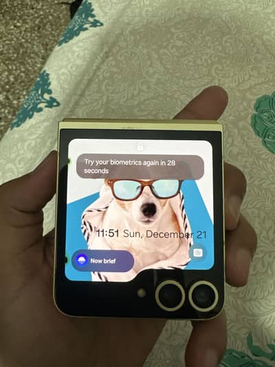 Samsung z flip 6 non pta