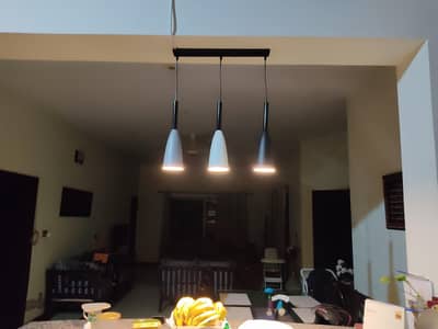 Imported Metal Pendant Lamp