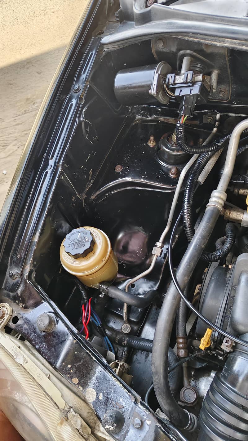 مناسب دام واحد کلام 1