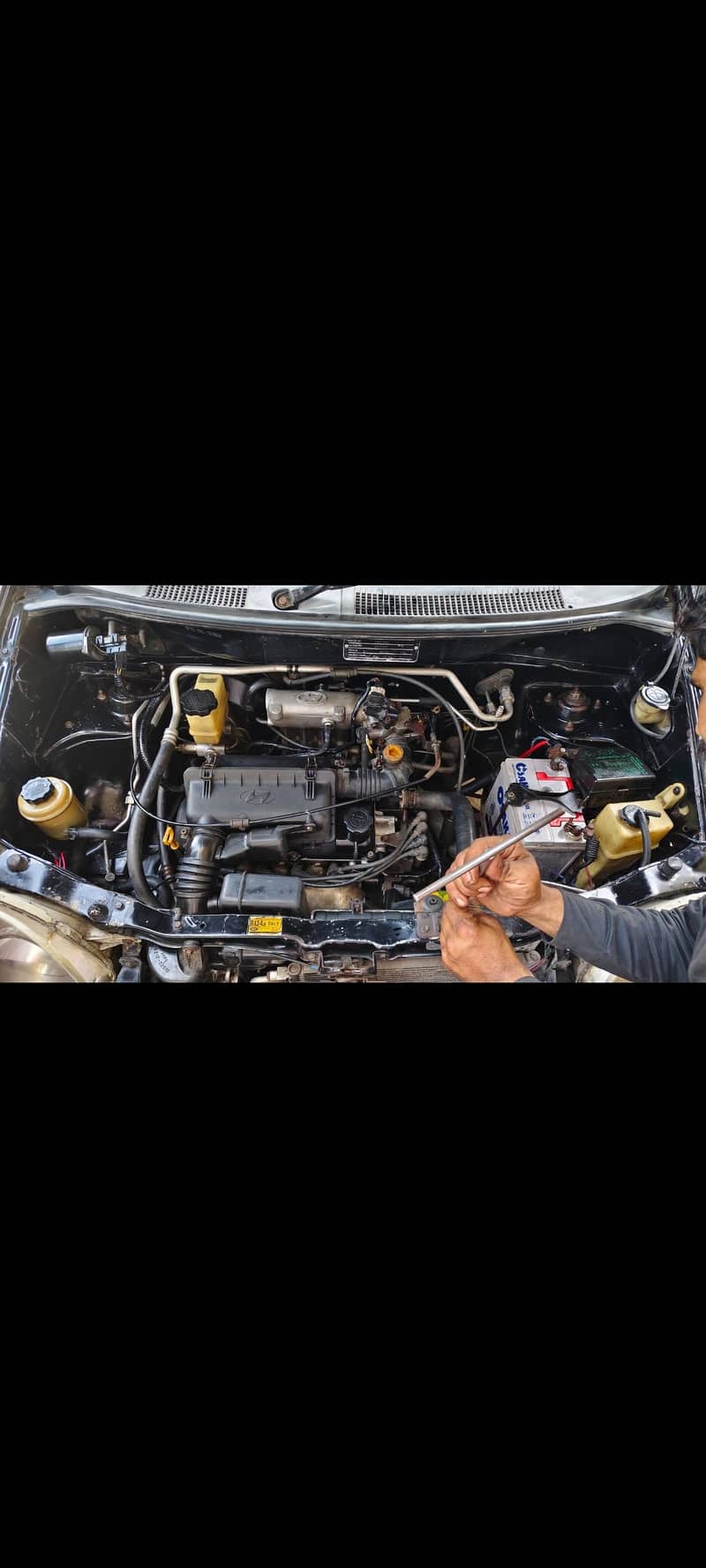 مناسب دام واحد کلام 8