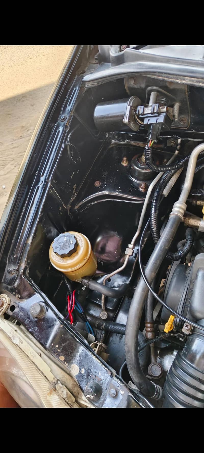 مناسب دام واحد کلام 9