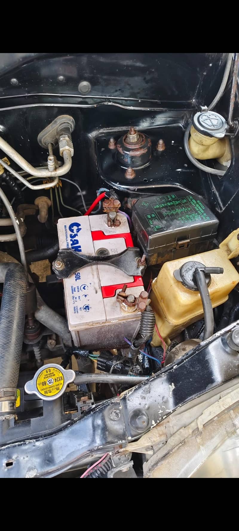 مناسب دام واحد کلام 11