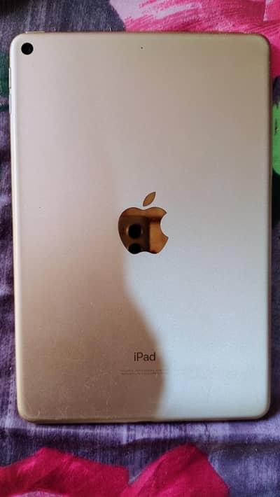 ipad mini 5