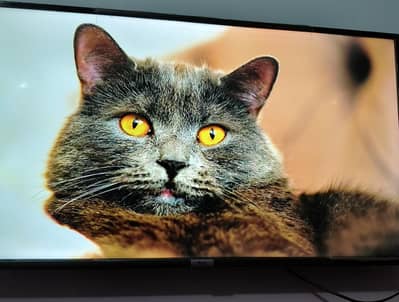 TCL L40S6500 40″ Smart LED TV – Excellent Condition!
