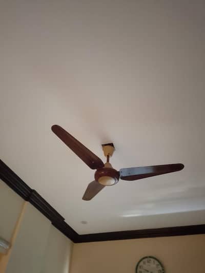 Selling Fans
