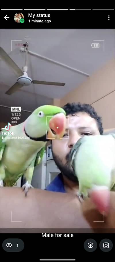 Heandteam male plus toking