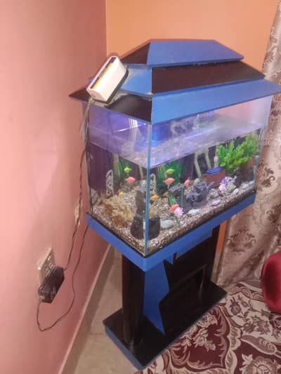 AQUARIUM 2 BY 2 CLEAN CONDITION WITH GLOW TETRA FISH