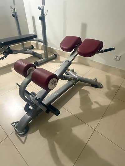Imported Back Extension Machine – Almost New